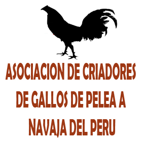Cliente 25